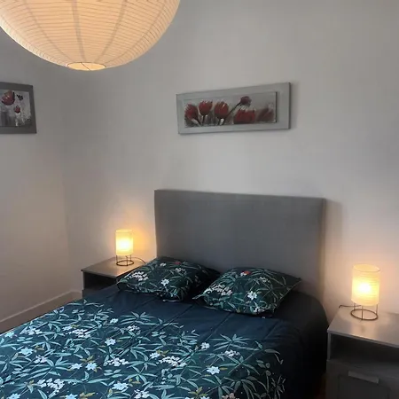 Apartamento T1 Refait à Neuf Dans Immeuble Sécurisé